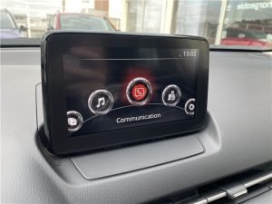 Mazda CX-3 2019 Rouge (12)