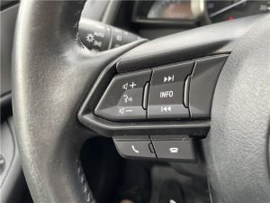 Mazda CX-3 2019 Rouge (20)