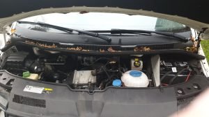 VOLKSWAGEN Transporter T6 L2H1 Combi (1)